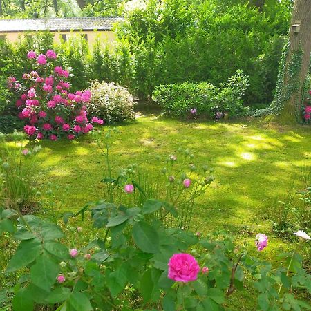 Vakantie Veluwe วาเกนนิงเงน ภายนอก รูปภาพ