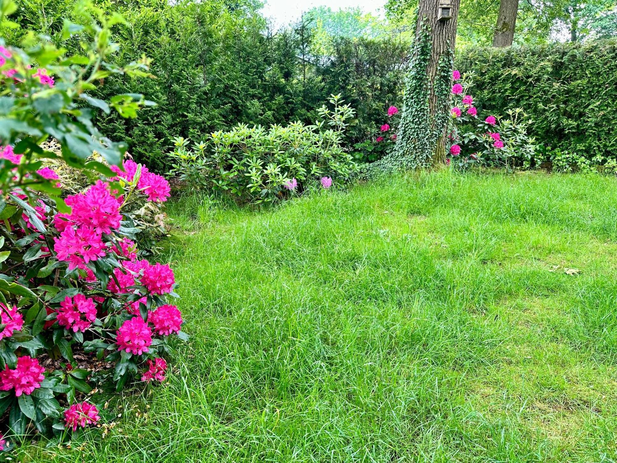 Vakantie Veluwe วาเกนนิงเงน ภายนอก รูปภาพ