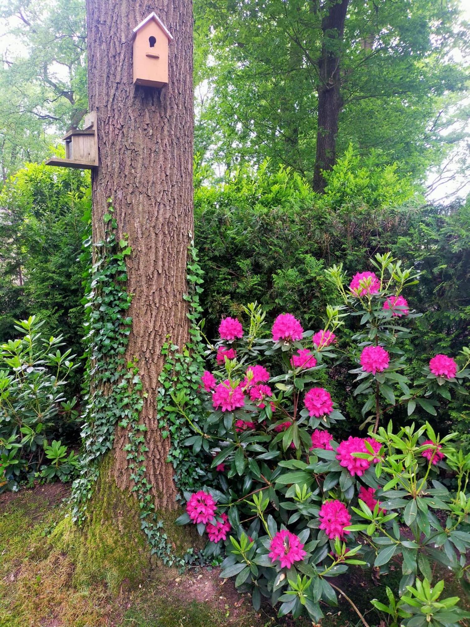 Vakantie Veluwe วาเกนนิงเงน ภายนอก รูปภาพ